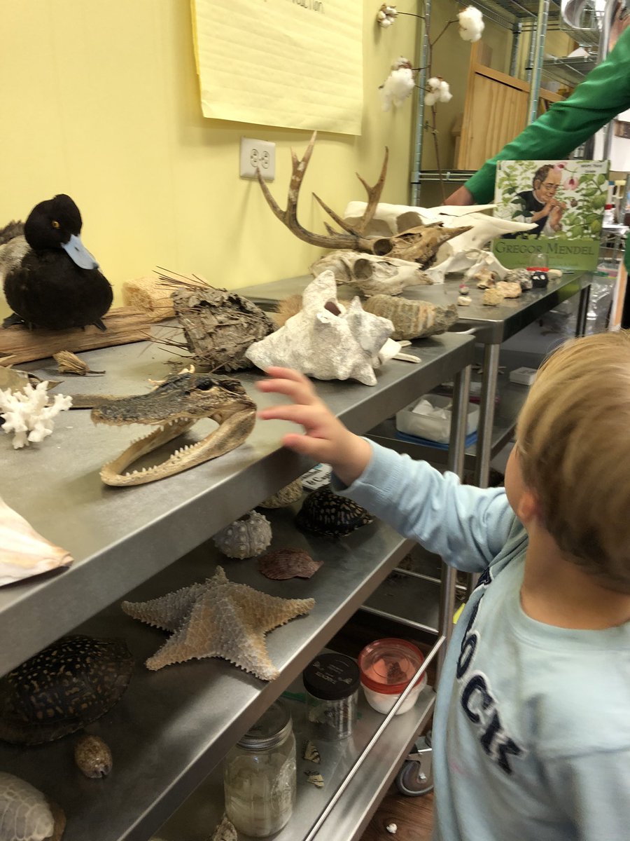 Kim Holbrook tweet media