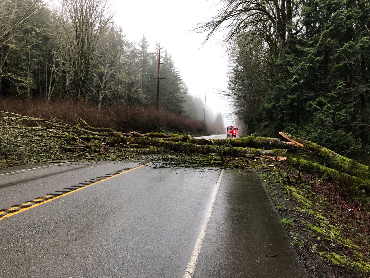 wspd8pio's tweet photo. #KitsapCounty: #WSP troopers & fire are at the scene of multiple fallen trees on SR 104 at MP 18 (approx. 1 mile east of #PortGamble). @wsdot crews on the way.
⚠️Use alternate routes while crews work to clear the road ⚠️
Follow @wsdot_traffic for updates. @wsferries https://t.co/eT5tGGkxyI