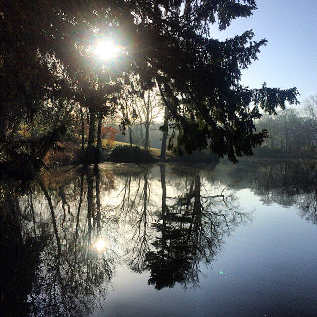 LeverArts's tweet photo. Lovely day to make use of our new @MoseleyParkPool key. #local #lansdcape #colour #light #backgroundresearch #research #nature #reflection https://t.co/ZObLvq3xT2