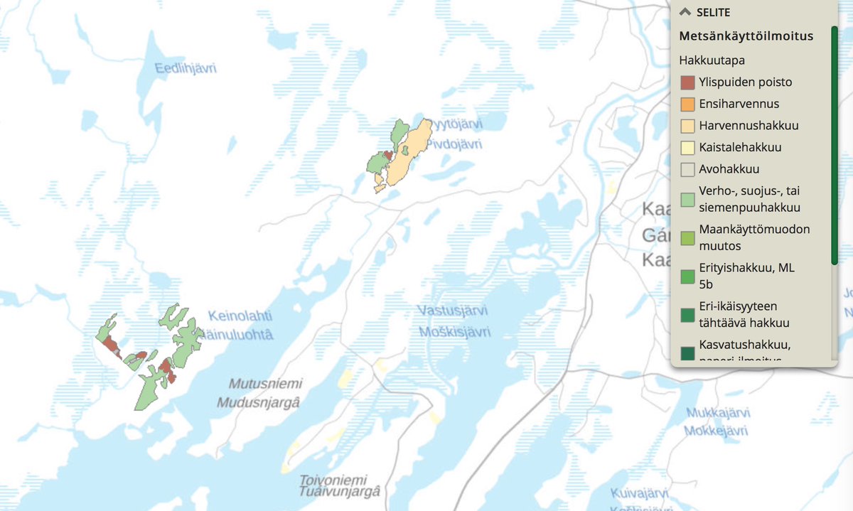 Utsjoen #yhteismetsä hakkaa #ikimetsä'ä Inarissa Muotkatunturin erämaa-alueen itäpuolella. Yhteismetsän osakasluettelo vaikuttaa saamelaisvaltaiselta. Hakattavat metsät Muddusjärven paliskunnan laitumia. 

Kommentteja? @MLiimatainen @GreenpeaceSuomi @PetraLaiti 

#saamelaiset