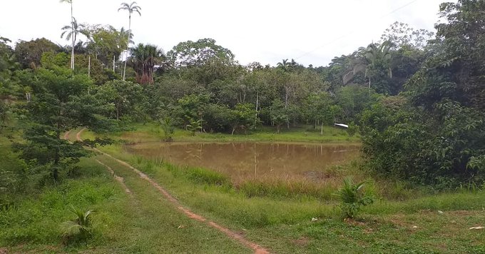 Ver imagem no Twitter