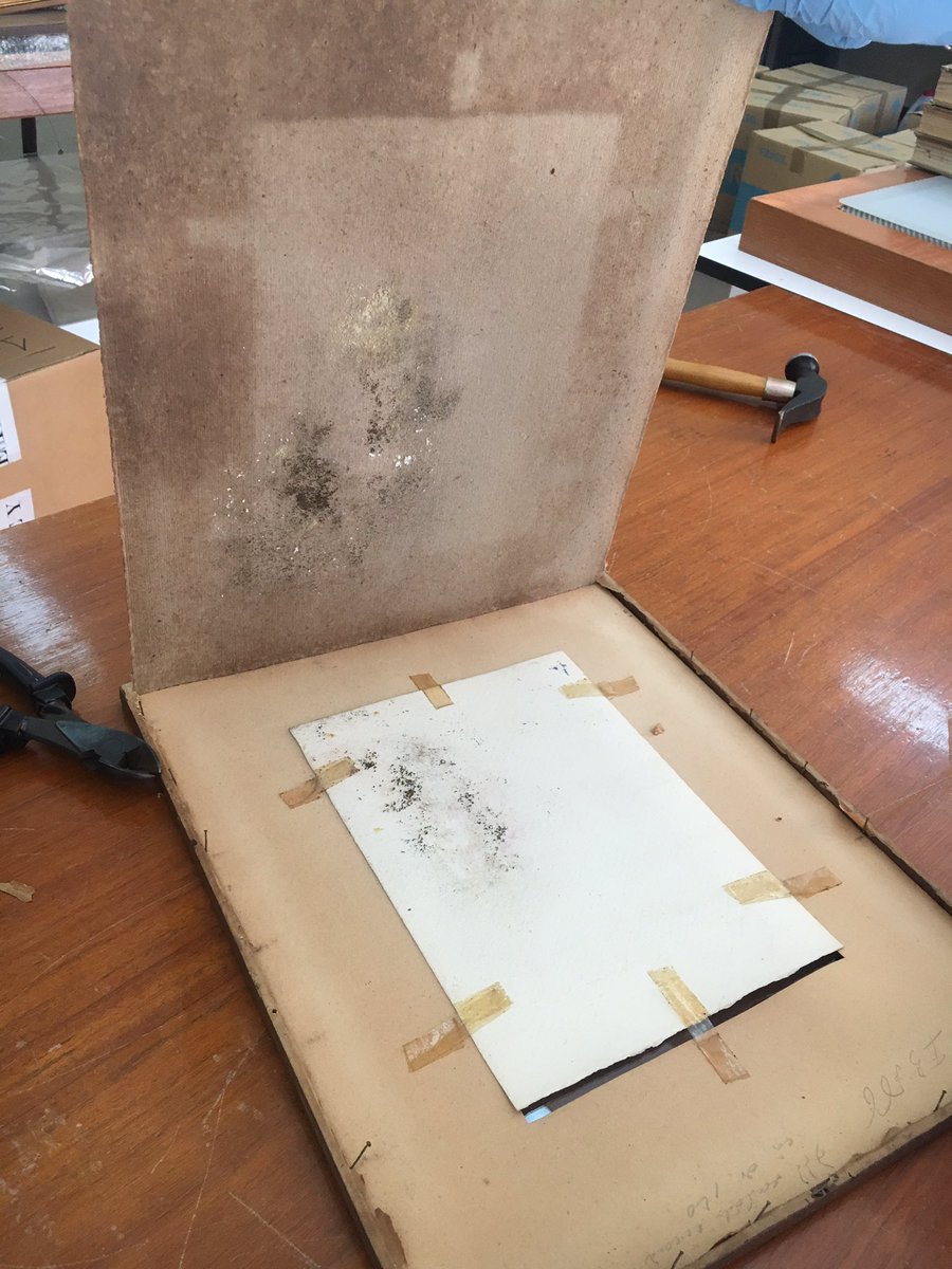 Amf_pt's tweet photo. And so many tape!!!!!#paperconservation #tapeisevil #todayinthelab https://t.co/E0GYK1Wxmx