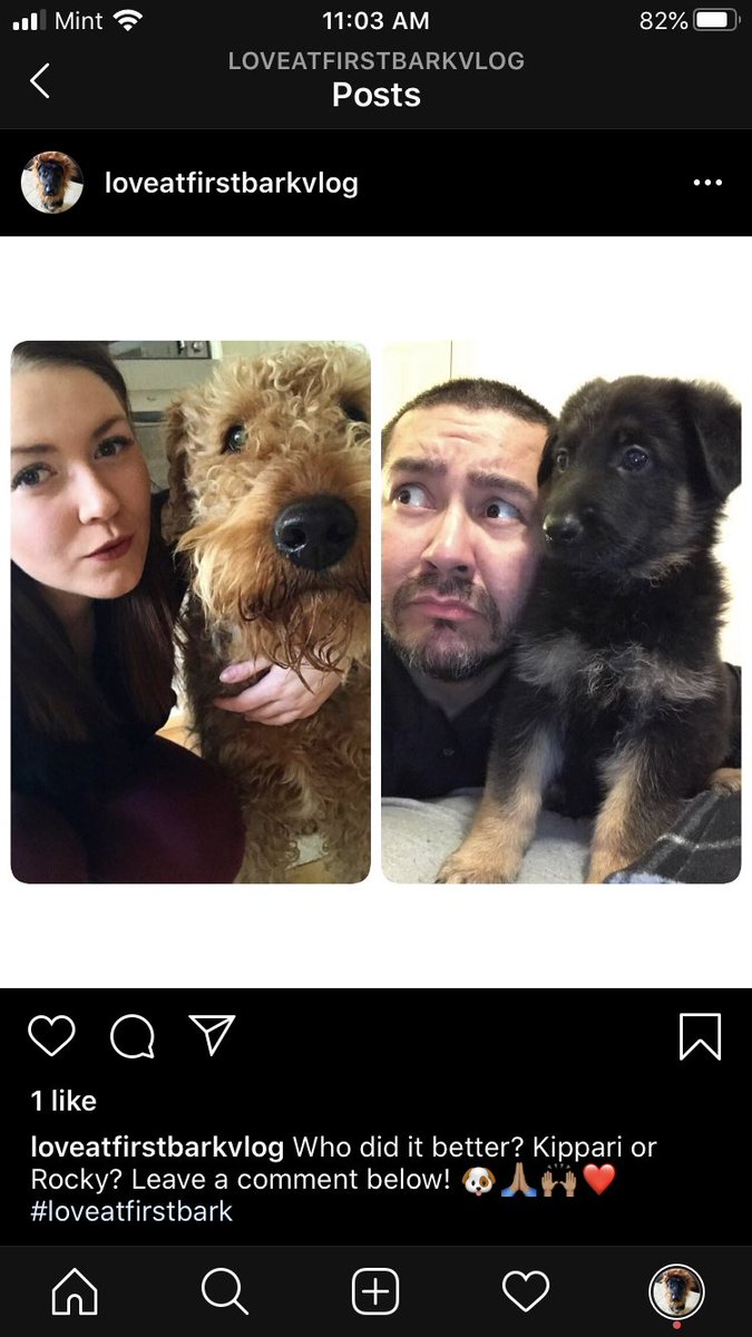 BertoSmalls's tweet photo. Go follow Rocky on Instagram and vote!!! @loveatfirstbarkvlog https://t.co/6eqrPm2c5z
