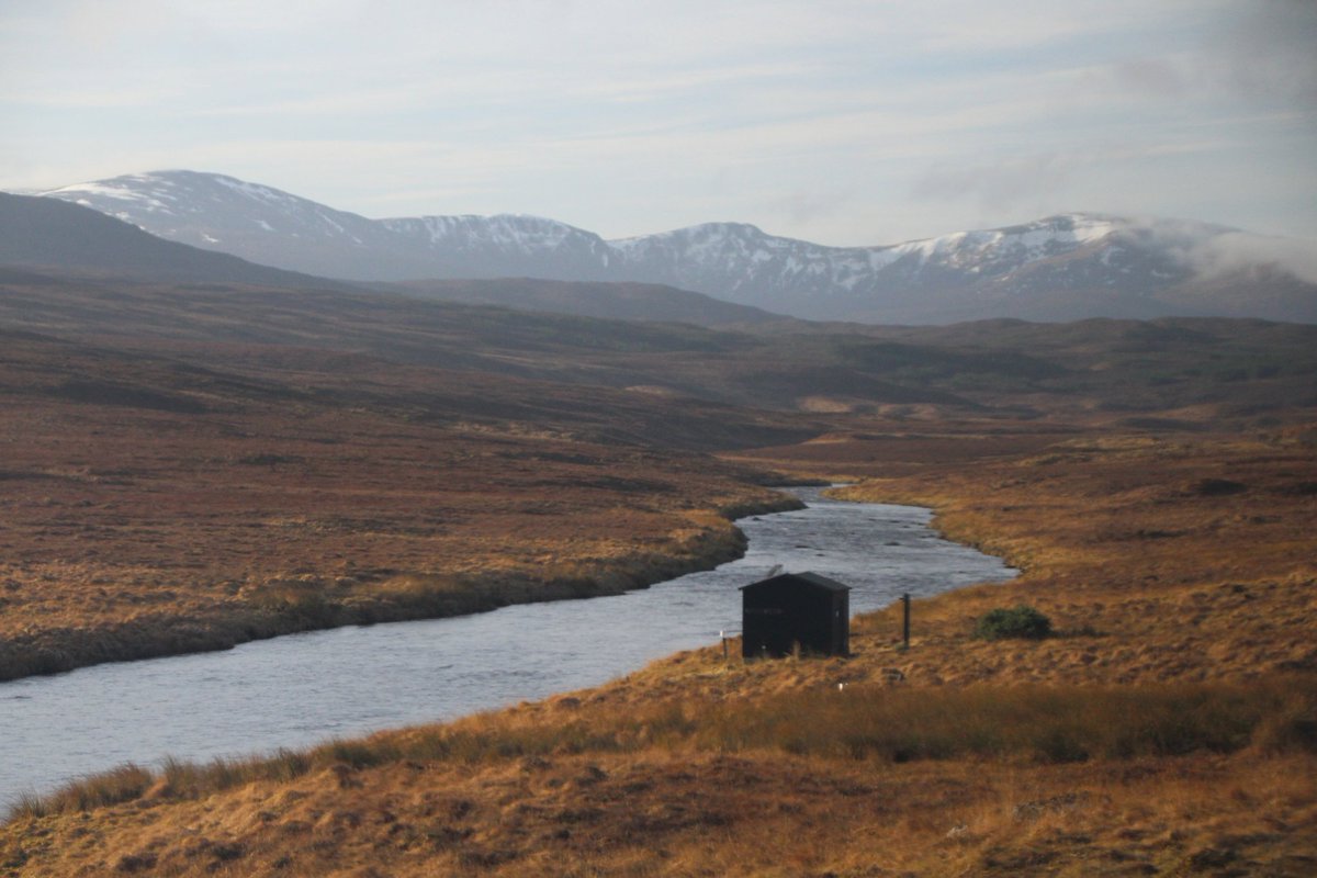 RobWilson_RW's tweet photo. Cracking weather today on a day trip to Kyle of Lochalsh with @ScotRail.
Stag. Red Kite. Kestrels. Seals.
Blue skies. Calm waters. Sea breeze.
Some say the #WestHighlandLine best in the world, but the #KyleLine is bloomin' good too!! https://t.co/wveUfKtiw6