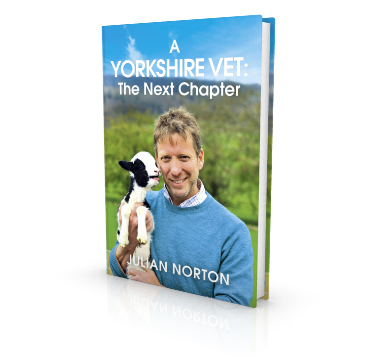Happy Publication Day to <a href="/julesvet/">julian norton</a> and <a href="/CoronetBooks/">Coronet</a> for A Yorkshire Vet: The Next Chapter! Out today in hardback, kindle and audio! 📚🎈🥳