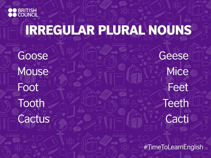 clBritish's tweet photo. Did you know that not all plural words in English have an 's' at the end? Here are some of them! #TimeToLearnEnglish https://t.co/Z4NgvXanQz