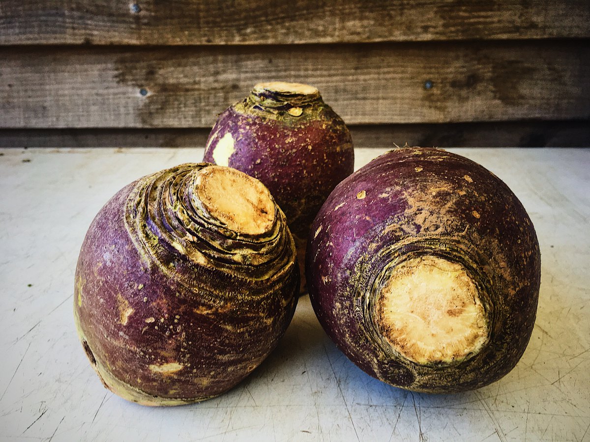 RealFoodBox's tweet image. Cornish swede in our #vegbags next week!
Did you know that swede belong to the Brassica family, are jam packed with vitamin C, and can be eaten raw?! 
Try them in a salad with apples, watercress, almonds and a honey mustard dressing... yum! 
#shoplocal
realfoodbox.co.uk