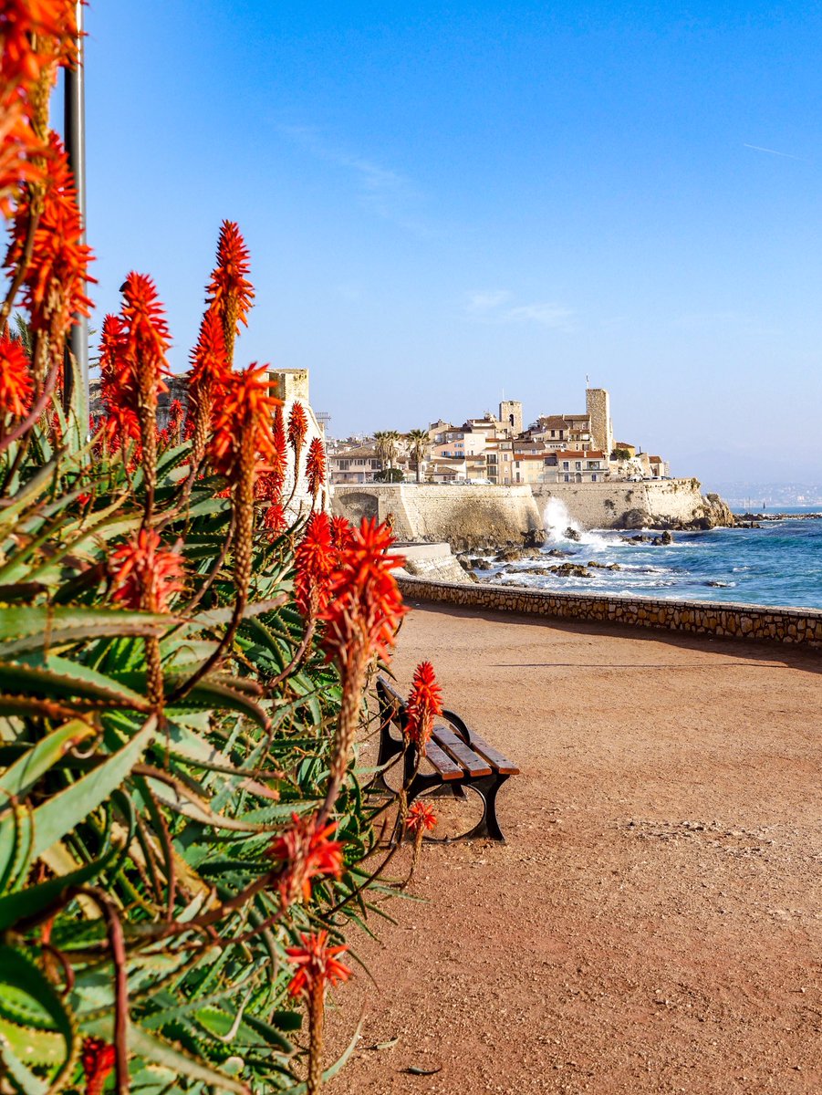 StudyTravelCOM's tweet image. Our #destination of the month is #Antibes, a lovely city at the Côte d’Azur. We give you a #discount of €40 per week on a #French course for juniors. Enjoy a #summerholiday by the sea and combine the #course with sailing, dancing or fitness lessons!😎🏖🇫🇷 bit.ly/371YrrX