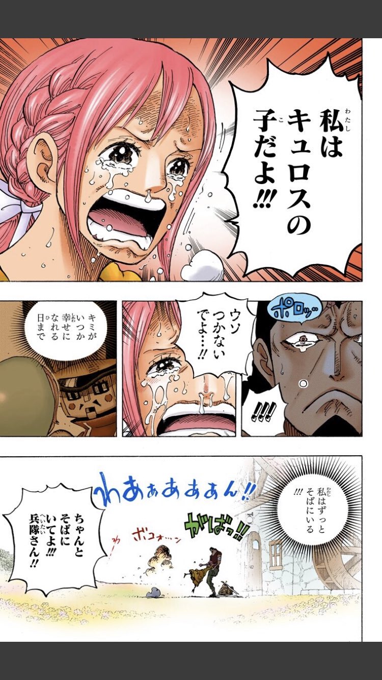 りくと ドレスローザ は好きなシーンがたくさんありすぎる 特に終盤はすごいほっこりする場面が多くて 長すぎる とかよく言われてますけど 僕の一番好きな物語は ドレスローザ編 です ドレスローザ