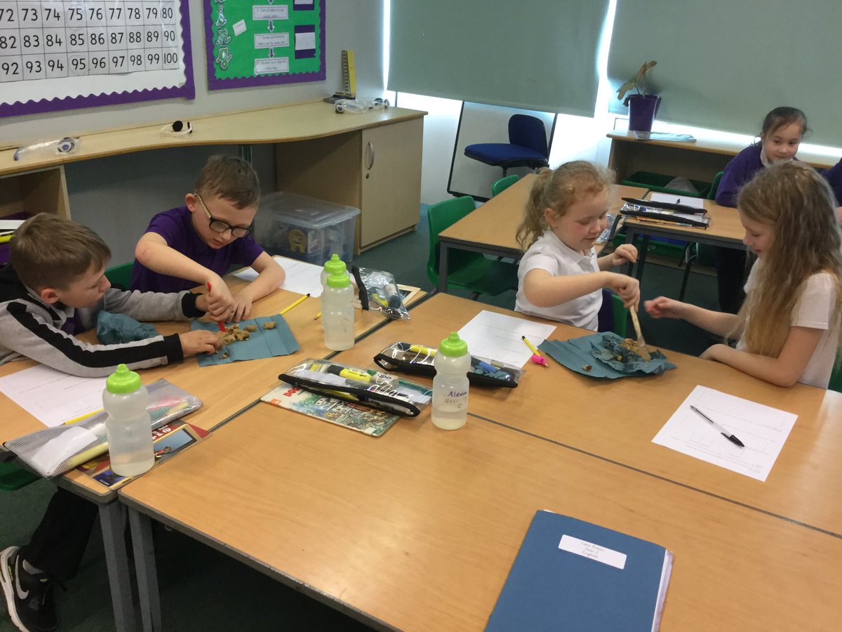 MrsZConnorGPS's tweet photo. Y3 are having fun being archeologists by dissecting pretend Stone Age poo! https://t.co/Yg2YNIoozr