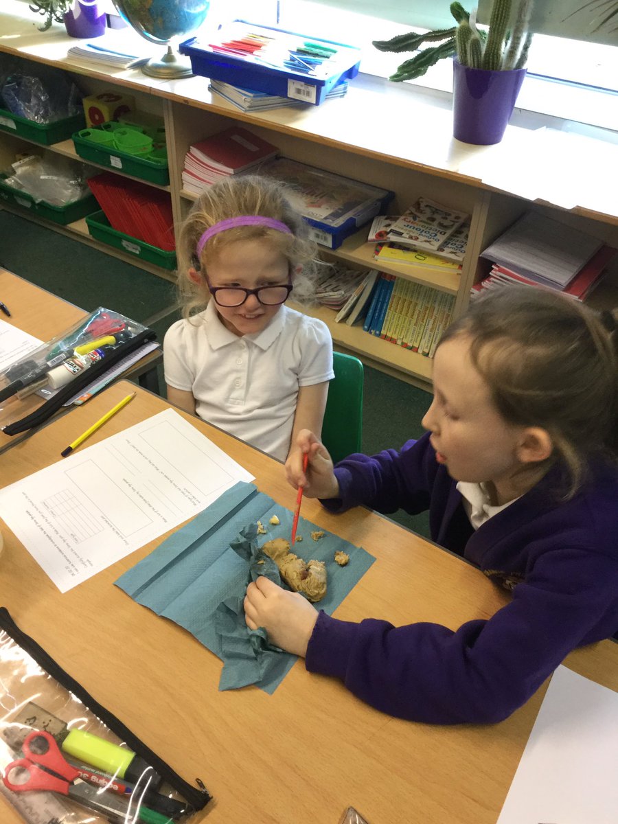 MrsZConnorGPS's tweet photo. Y3 are having fun being archeologists by dissecting pretend Stone Age poo! https://t.co/Yg2YNIoozr