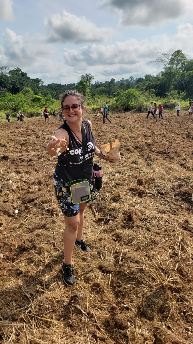 Ver imagem no Twitter