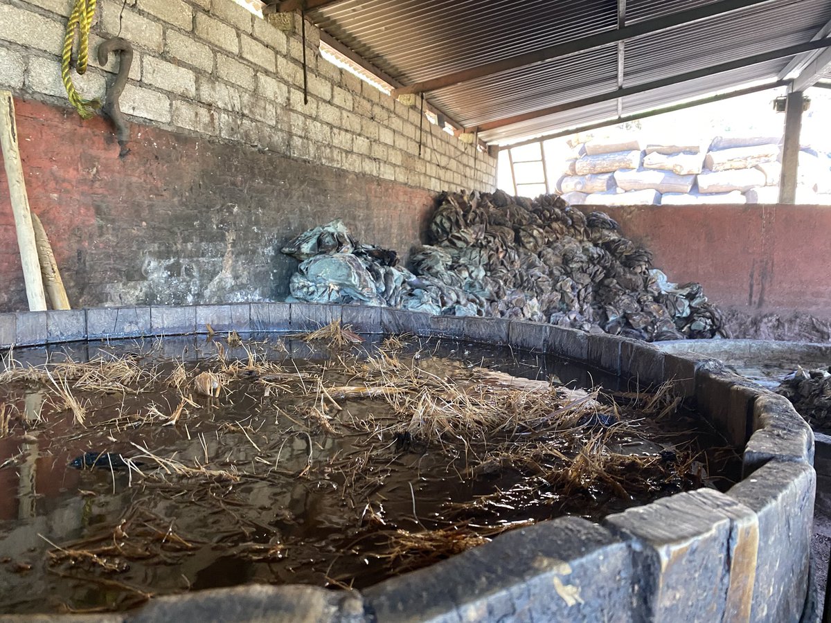 Jon Anders tweet media