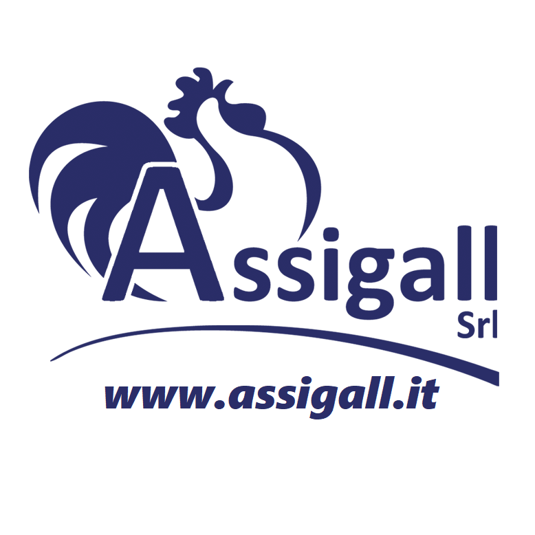 IBCHappyWorking's tweet photo. @IBCHappyWorking è lieta di Annunciare l'Ingresso nei propri Spazi🛰 di Assigall Srl, Agenzia Assicurativa Indipendente.🚗🏠🏍🏥
La loro scelta? Insediarsi in un UFFICIO RESIDENT PER 12 Mesi con la formula All Inclusive a Lungo Termine♾
https://t.co/wm6UW2G35B
#BeSmartBeFuture https://t.co/1QjDNyfOzf