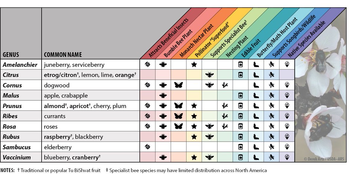 The Xerces Society tweet media