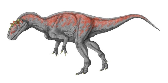 アロサウルスのtwitterイラスト検索結果 古い順 アロサウルスのtwitterイラスト検索結果 古い順