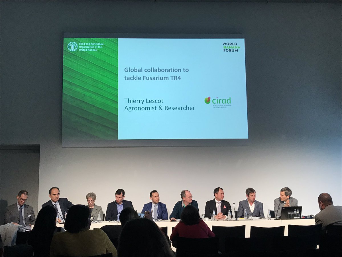 FruiTrop tweet media