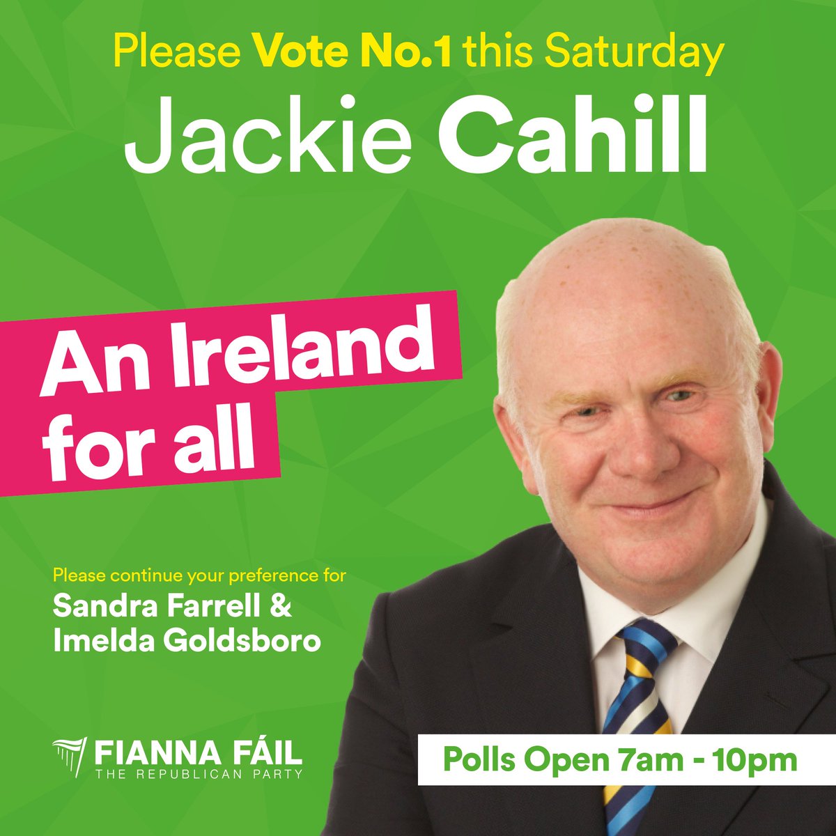 jackiecahillff's tweet photo. I ask the voters of Tipperary for your No1 vote this Saturday It has been an honour to represent you for the past 4 years as your TD.
Thank you for your courtesy & engagement during our canvass
#votebackjack #Tipperary #Irelandforall #GE2020 #VoteJackieCahillNo1 https://t.co/MlifCIVPHA