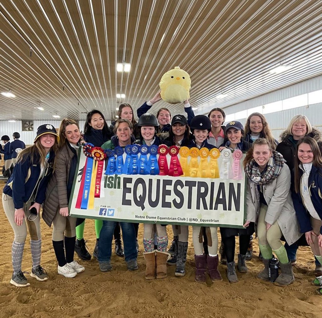 rideihsa's tweet photo. Just keep doing what you're doing guys - it's obviously working!! β€οΈ
@rach.auss @hailstateequestrian @equestrian.csuf @irisheq
#RideIHSA #Repost #IHSAStrong #CollegiateEquestrian #StudentAthletes #Equitation #Western #IHSAWestern #IHSAHuntSeat #Equestrian #EquestrianLifestyle https://t.co/a0lzkm8jpF