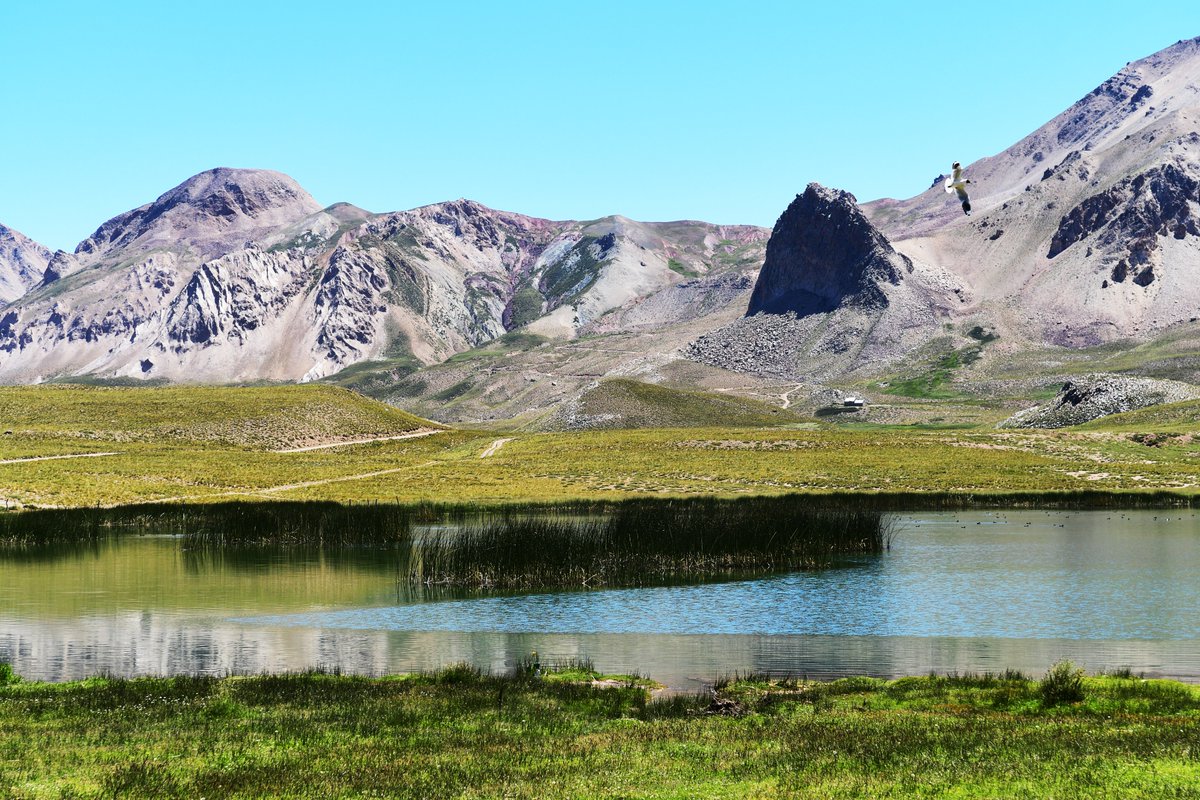 laslenasresort's tweet image. Cordillera de los Andes -  Las Leñas, Mendoza 🇦🇷.
Informes y reservas: 11 4819 6060 . reservas@laslenas.com
.
.
#LasLeñas #PiscisHotelCasinoSpa #CordilleradeLosAndes #verano2020