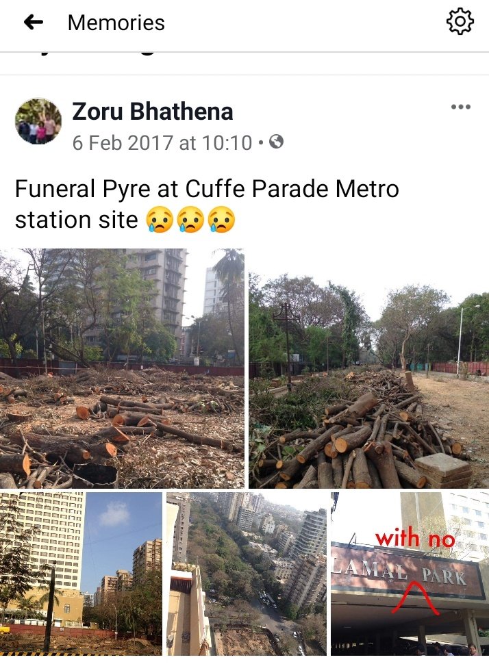 zoru75's tweet photo. It was three years ago that the Metro3 Tree Cutting monster reared its ugly head!

3 years of chop chop chop!!

In 3 years they were supposed to finish their work and restore the green cover at all their station sites.

3 years of lies, lies &amp; more lies by the Metro authorities😡 https://t.co/t7uFixZ9YU