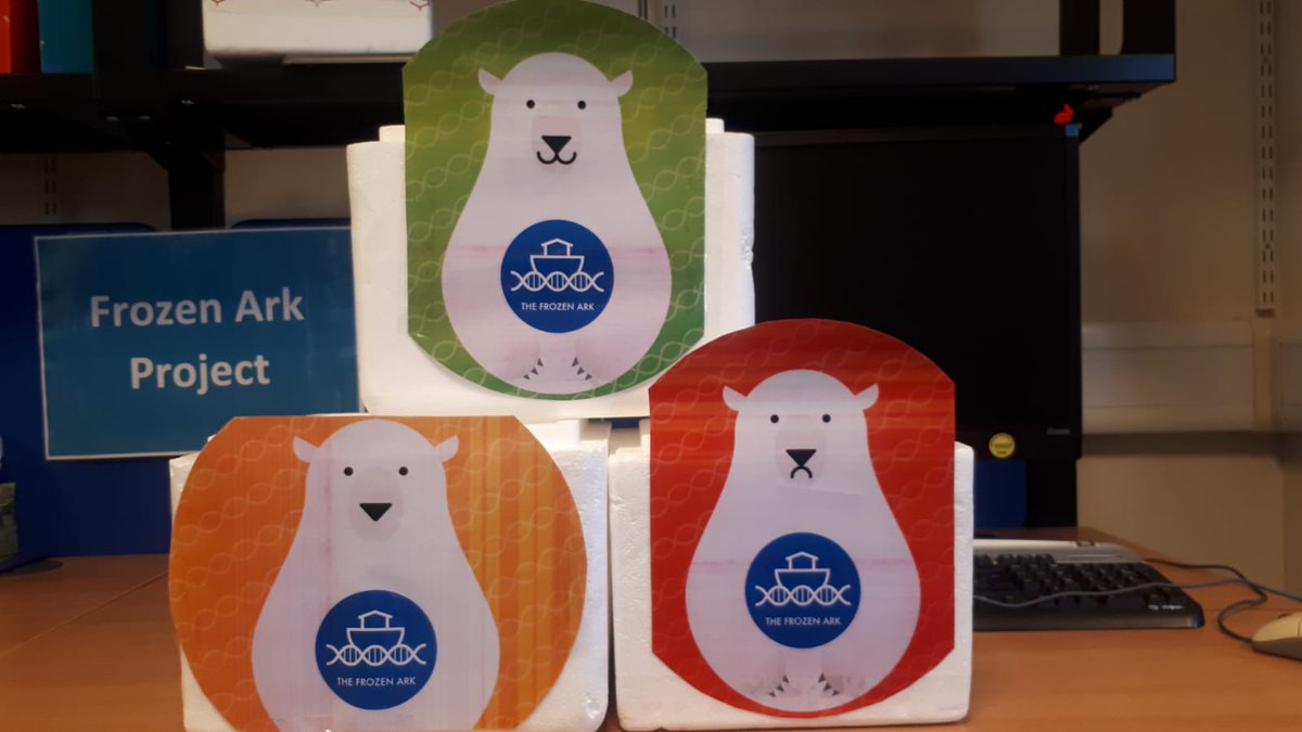 frozenark's tweet image. Come and see us at @NottsFOSAC 15th Feb 10-3 Central Library and 18th Feb 10-2 Aspley Library. We&apos;d be CURIOUS to know what you think of our SCIENCE activities, so let us know by using our polar bear evaluation boxes! 

#curiousnotts #FOSAC