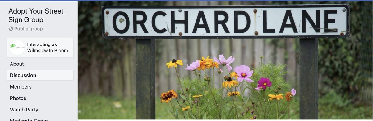 Wilmslow In Bloom tweet media