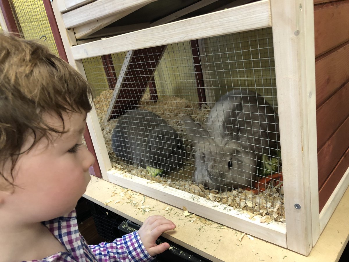 Kim Holbrook tweet media