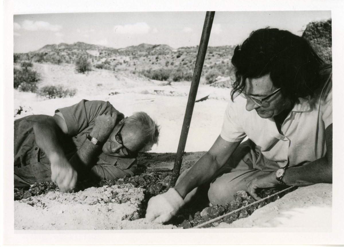 Black and white image of Mary Leakey sitting on desert sand, leaning over, and looking at something in the sand.