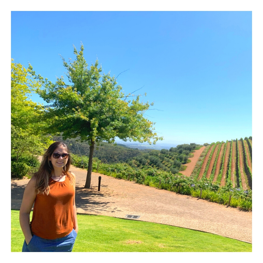 sourceofluxury's tweet photo. Stopping at @Tokara_ wine state for an impromptu lunch and a tasting is a must do if you're in #Stellenbosch. Swipe left to see more.  
Read more here: 
#southafrica #winelands#travelblog  #havebabywilltravel #sourceofluxurytravel https://t.co/q9T36d8Ioz