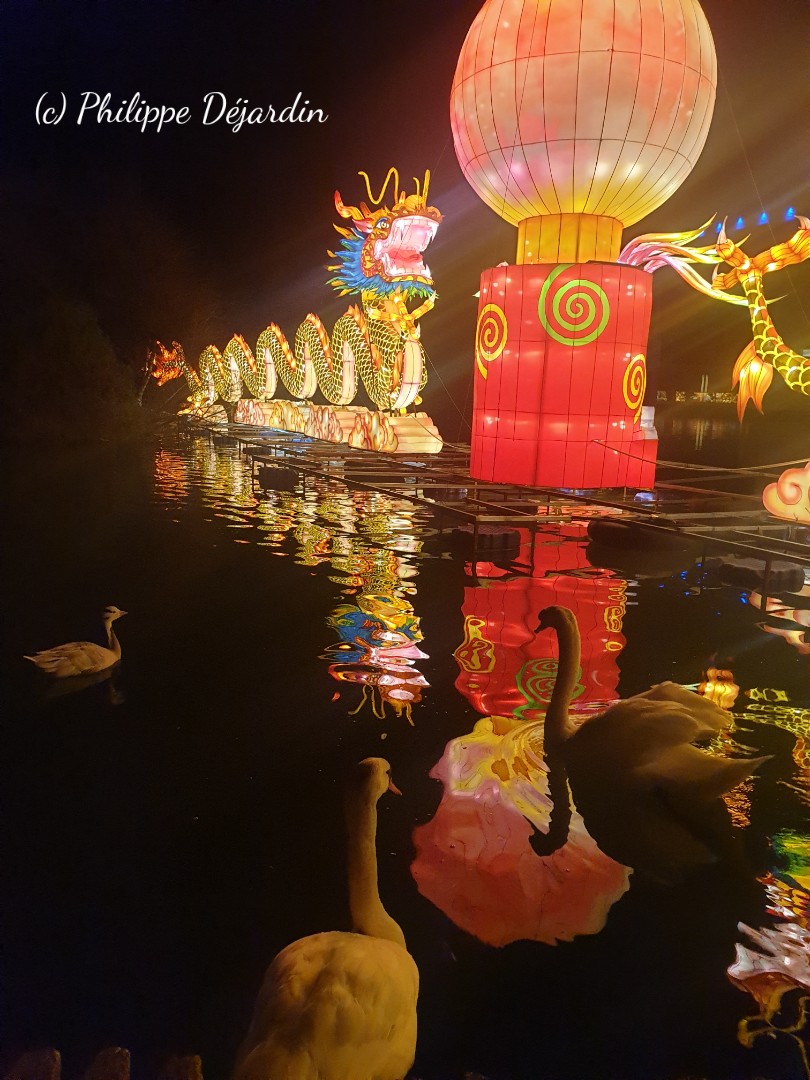 ph_dejardin's tweet photo. Pour mon #JeudiPhoto Clin d'œil aux chinois en France !! Aucun danger 🤔👏 #NICEBDL #Nice06 . @Boidalon @MCziczac @sebspiteri @JeudiPhoto @N_Dalmasso @VisitCotedazur @VilledeNice @jmlpyt @OlivMcar @damsweb @MohamedZaraa @anaispollet1 https://t.co/NuT3pDsvX6