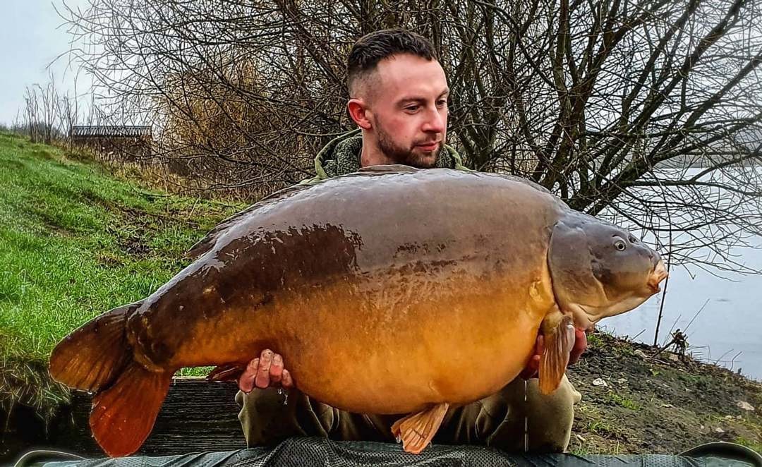 TF_Gear's tweet photo. A Baden Hall Fisheries chunk for Nick Oliver!
⠀
Tipping the scales to 44lb 8oz, the 'sumo' took a yellow Dynamite Bait Hit N Run pop up.
⠀
Nick used a @TF_Gear Banshee V2 12' 3.25 test rod, GXI reel & TFGear combat pod 💪
#TFGear #CarpFishing #CarpfishingUK #dynamitebait https://t.co/pMkuq1bnOg