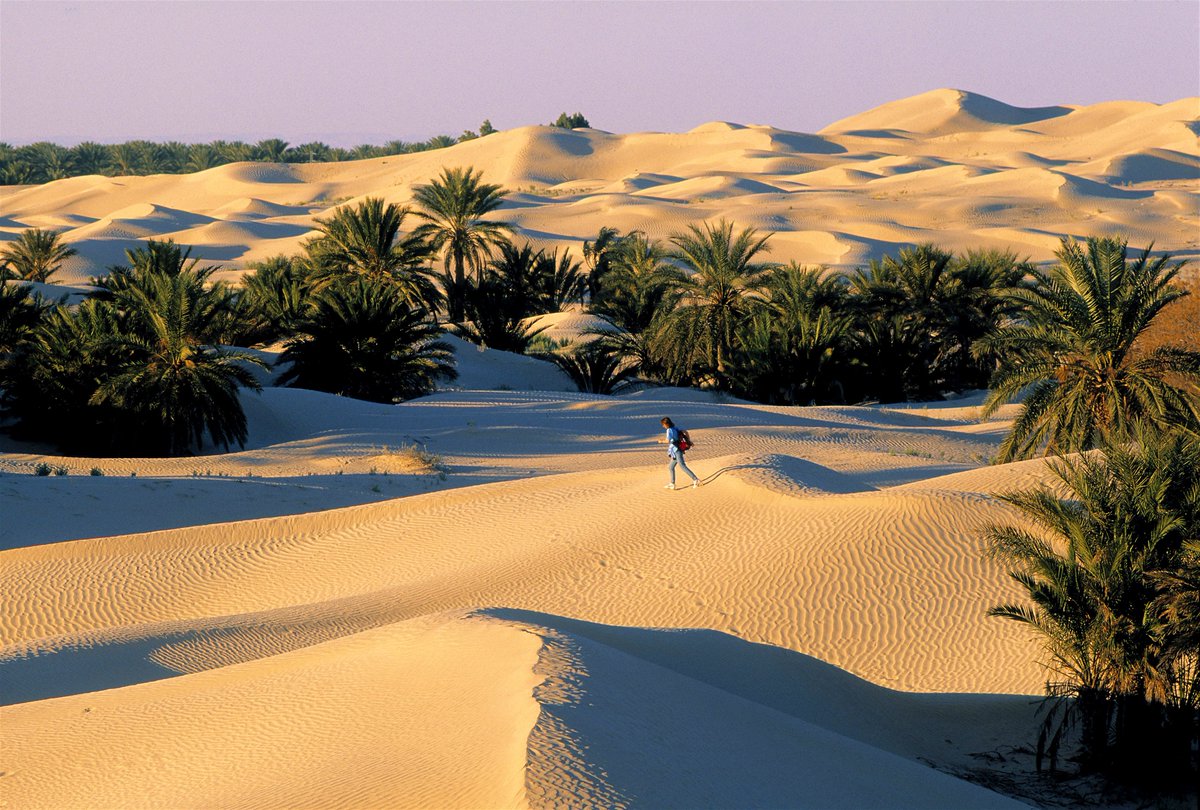 live your dream in desert
#sahara #saharadesert #tunisia #grandergoriental #douz #errached #discover_tunisia #tourismetunisie #saharatourism #traveladventure #adventuretravel #adventuretravels #tunisiancampers #travelphotography #traveldestinations #frontrunneroutfitters #camping