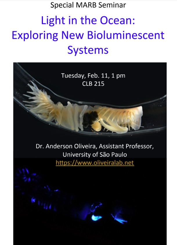 MARB_Dept tweet media