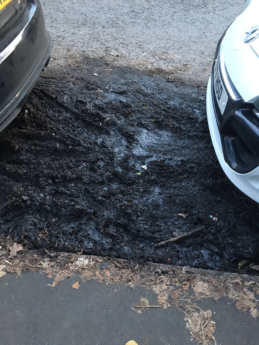 RoxyLoader's tweet photo. @cardiffcouncil Still a stinking mess https://t.co/L1jyk2xubn