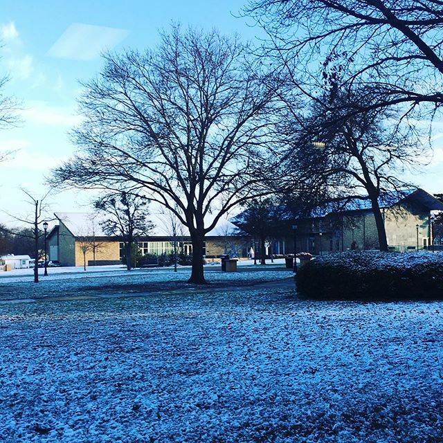 ac_lib's tweet image. We don’t get this view much here in north TX, so it’s great to enjoy (and capture) it when we do. We hope everyone enjoys this little slice of winter serenity while it lasts! Happy first week back, ‘Roos. #roonation #austincollege #ac_library #winter #sn… ift.tt/31uD1md