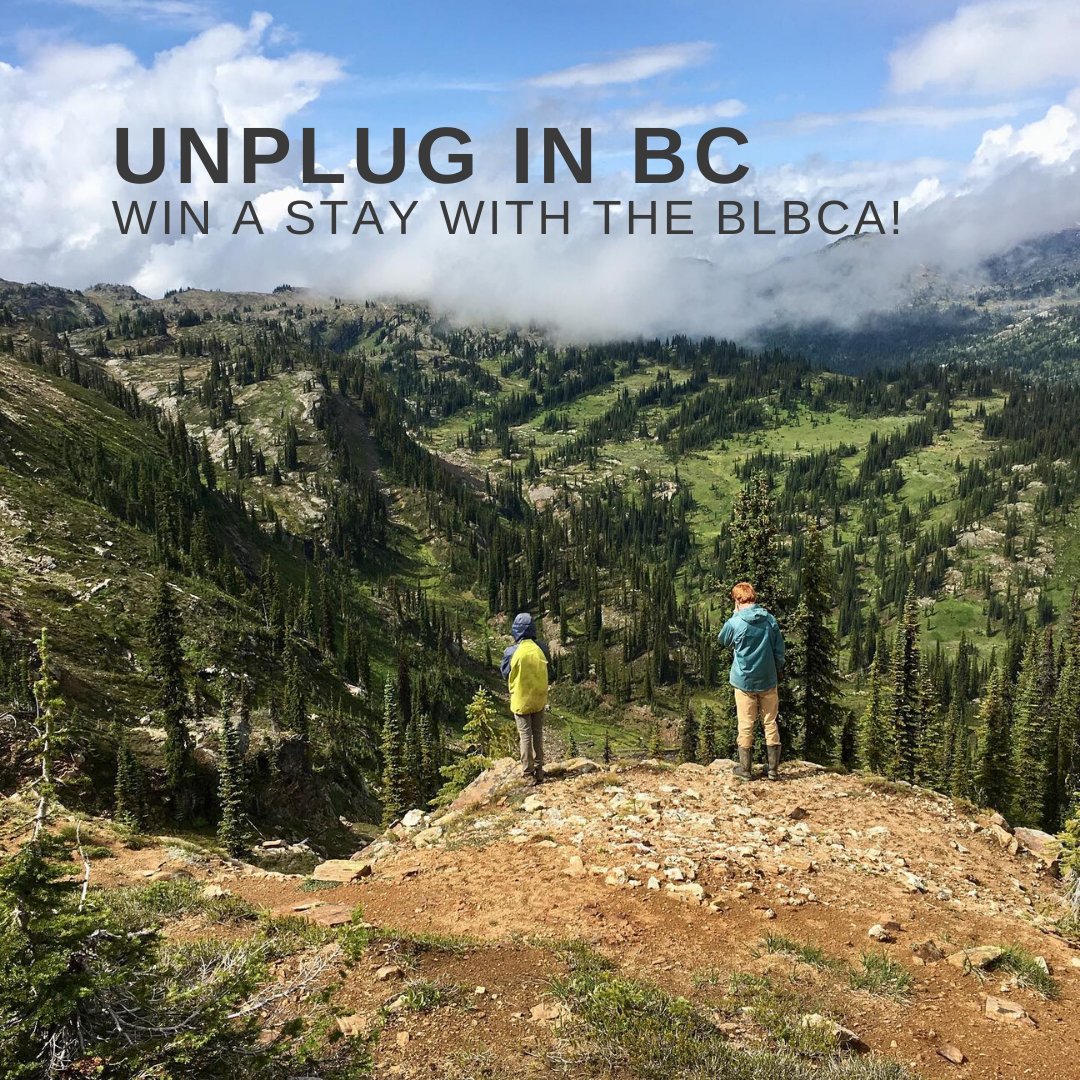 bcbackcountry's tweet photo. 3 Backcountry of British Columbia Lodges.
Wells Gray Adventures, Sol Mountain Lodge, and Golden Alpine Holidays. Which trip experience will you WIN?
Don’t wait any longer to enter, click here: https://t.co/Xz6dTdaTGy
Contest closes: February 29, 2020
#unpluginBC
#exploreBC https://t.co/so6rzqfGm6