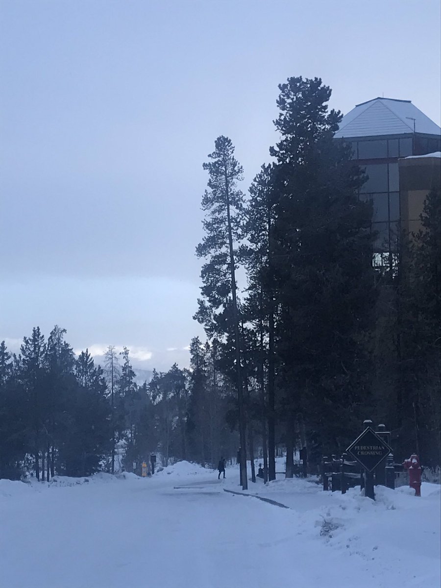 SutherlandPhD's tweet photo. Farewell, Keystone! Thanks everyone for a fantastic meeting @KeystoneSymp #KSPain #KSSomatosensation https://t.co/h3OFCm32wd