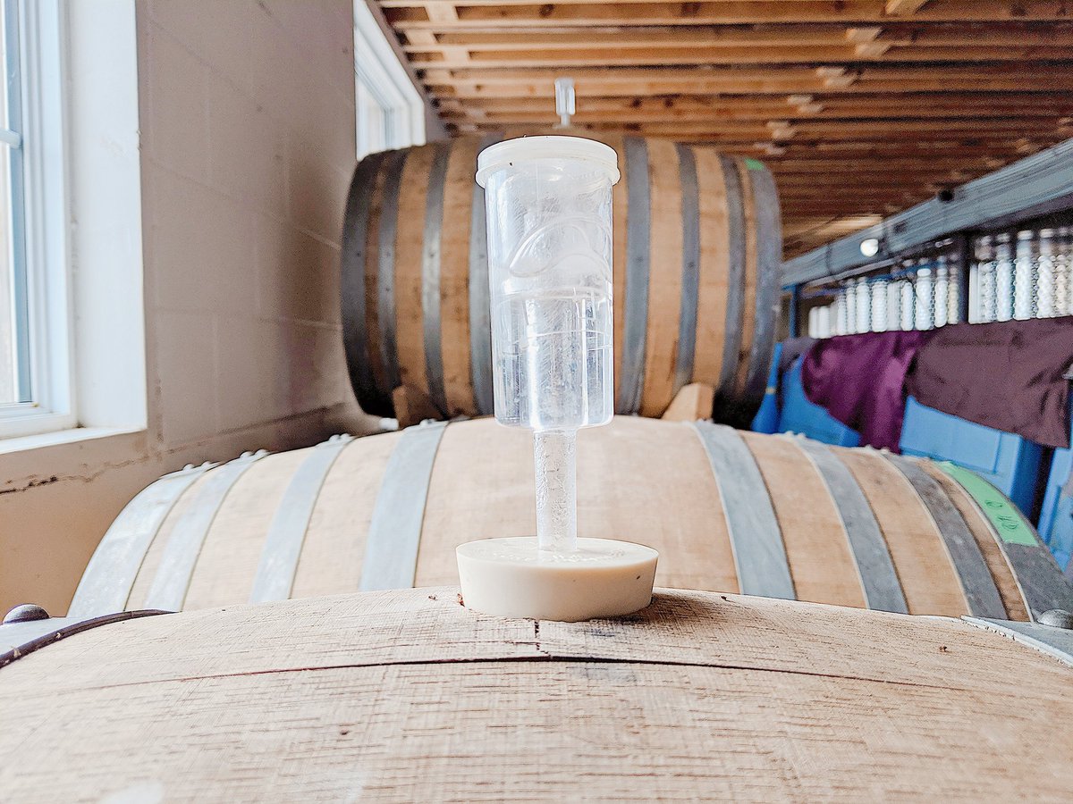 RedtailPEC's tweet photo. Curious to see what's happening in the cellar? Book a barrel room tasting with our winemaker for #VinterFest and see what's up 👀 E-mail info@redtailvineyards.com to claim your spot #PECwine #princeedwardcounty #VQA #ONwine #CDNwine #WineCountryON https://t.co/HQ9agRp28h