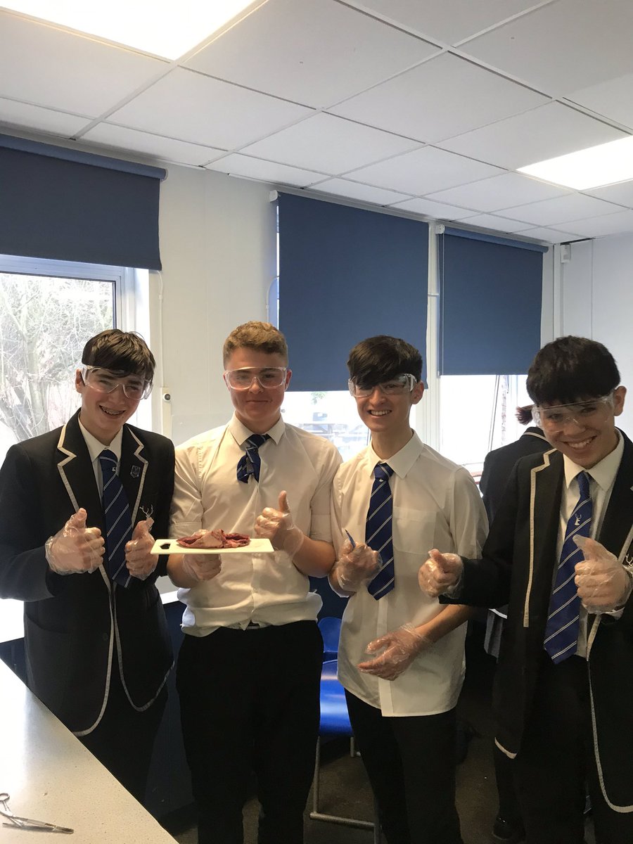 GreyCourtSci's tweet photo. ❤️ revision time in Ms Moran’s lessons today! @GreyCourtTweets #science #biology #dissectiontime https://t.co/rD077gmxwo