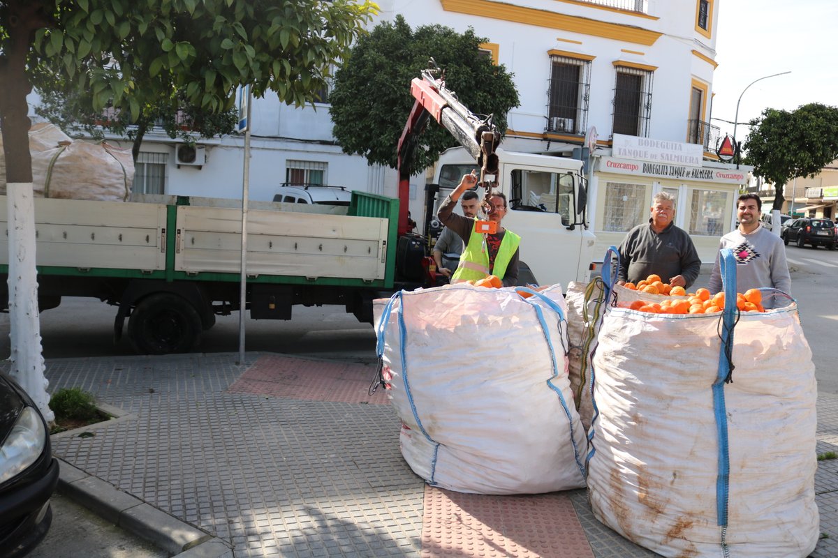 aytoloradelrio's tweet photo. El concejal-delegado de #Parques y #Jardines, José Manuel Arancón García, ha supervisado en la mañana de hoy jueves la recogida de #naranjas #amargas en la calle Guadalquivir de #loradelrio https://t.co/iAikDgplfC