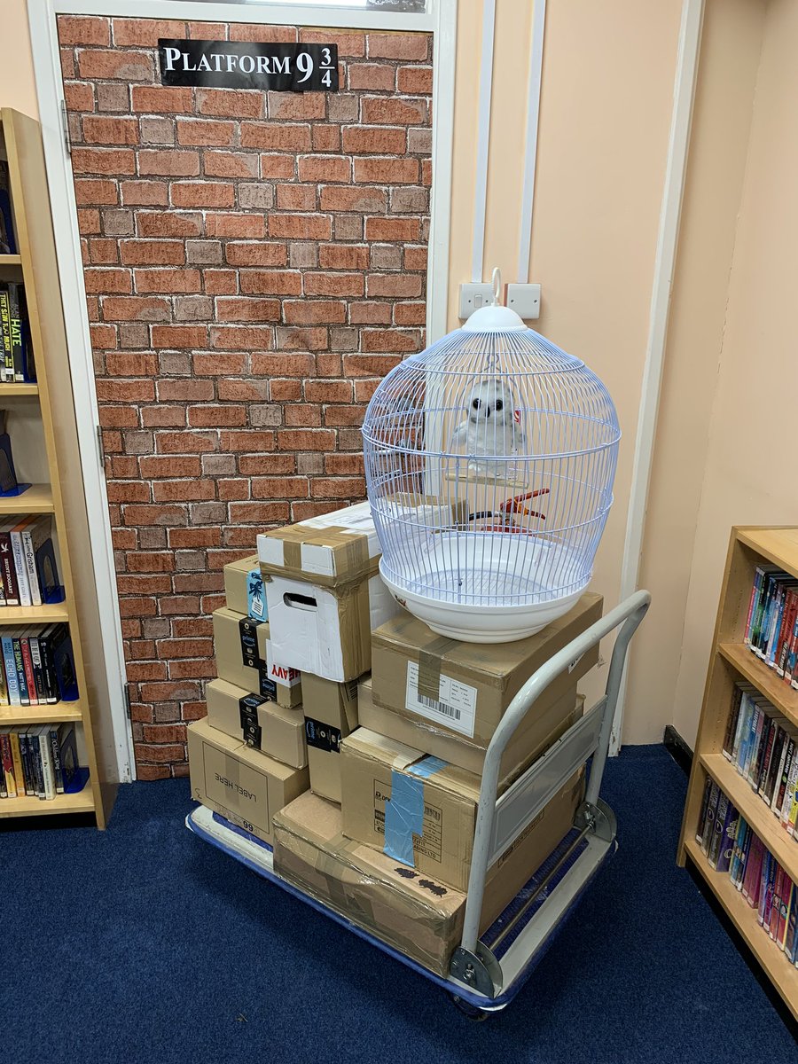 QueensSch_Lbry's tweet photo. #HarryPotterBookNight2020 #goldensnitch #sortinghat #platform93/4 #HarryPotter #secondaryschoollibrary #schoollibrary #daretoread #daretobegreat @QueensSch #library #librarylife https://t.co/hdraQ9Xprl