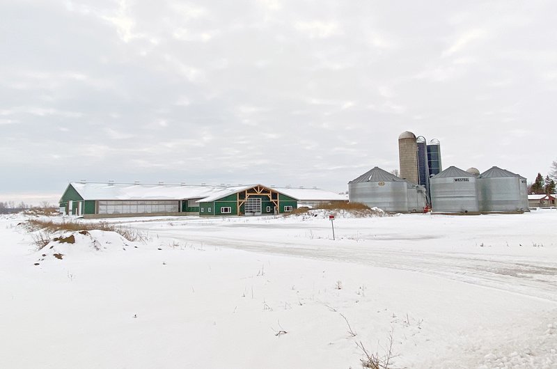 Redlodge Farms of Finch is benefitting from the expansion and upgrade of its dairy facility. agrinews.ca/dairy-barn-tak…