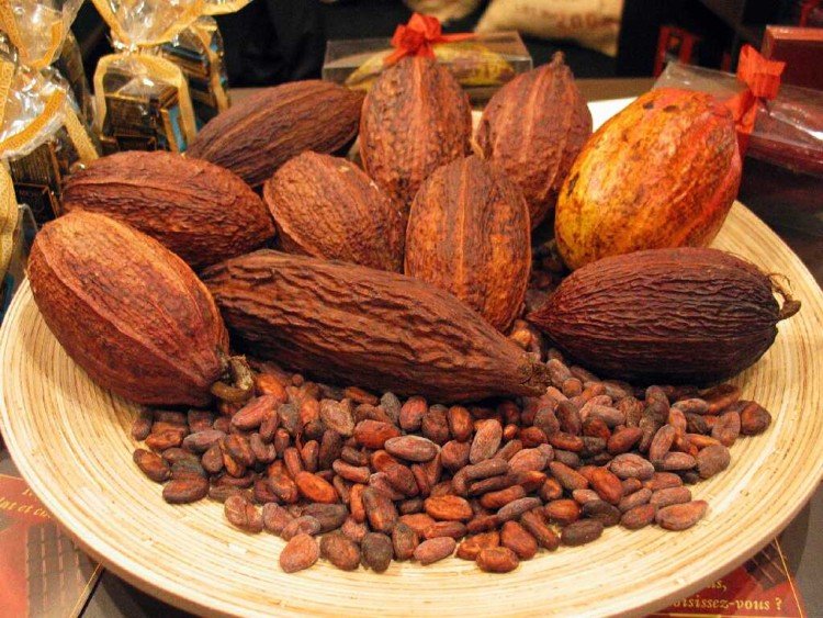 vibiznews's tweet image. Harga Kakao Bergerak Naik; Penguatan Dolar AS Membayangi vibiznews.com/2020/02/06/har… via @VIBIZNEWS.COM 
#cocoa #cocoaprice #icecocoa #icenewyork #dollarindex #USD