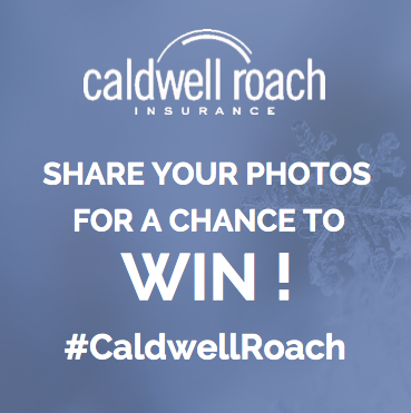 CaldwellRoach's tweet photo. It's contest time!
Share your photos from the Caldwell Roach/Kings Mutual Insurance Ice Surface in Downtown Truro and you could win!
Like or follow us on social, then share your photos using #CaldwellRoach. Winners each week! #Civicsquaretruro #Truro https://t.co/myK9BugSEu
