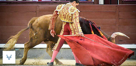 Mundotorocom's tweet photo. 🔴🎙 Carlos Aranda: a un paso de la alternativa

#ENTREVISTA #Noticiasdetoros #Noticiastaurinas #Tauromaquia #TambienSoyCultura

¡Léela aquí! : 
👉🏼https://t.co/d3jlYmMujU https://t.co/EnRVqbpimM