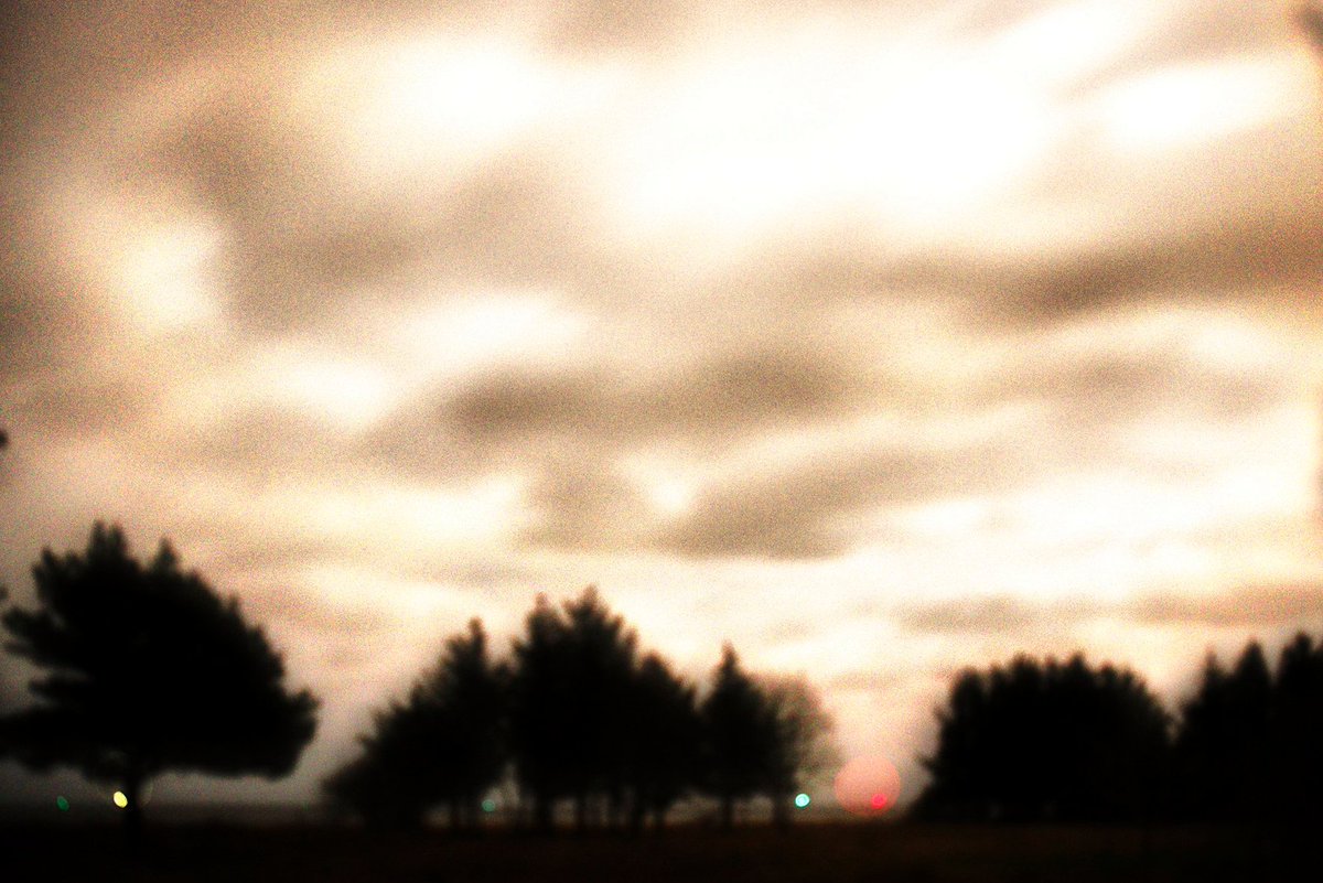 Moin ...
... als ich gestern Abend diese Aufnahme kreierte wußte ich es noch nicht ...
... aber, Pixel für Pixel beschreibt dieses Bild alles, was über die emotionale Intelligenz der Kasten zu sagen ist, die Erfurt 05/02 möglich machten.