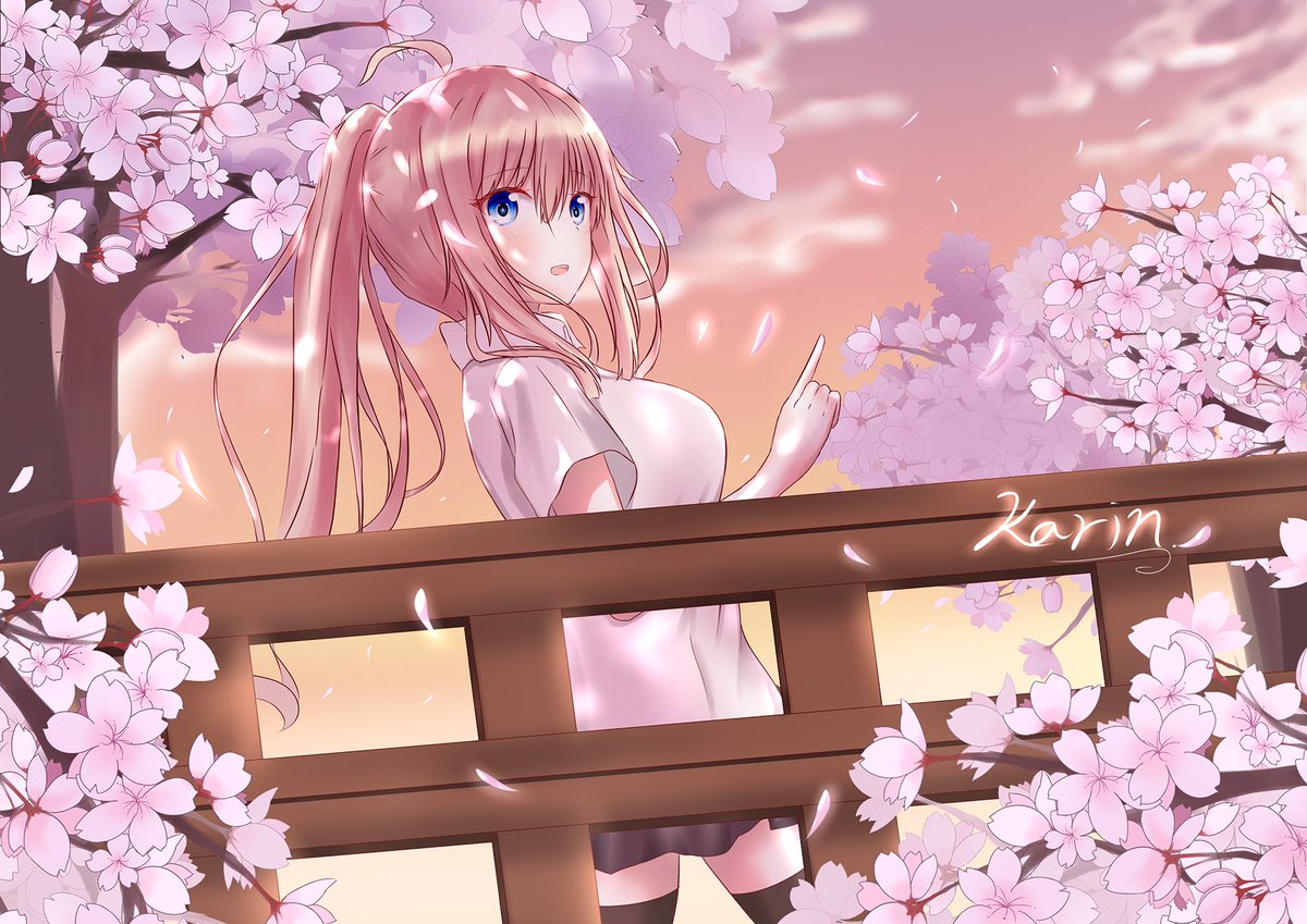 夏澪ザクラ 桜が風に落ちるたびに 風雪のように優雅だ 桜 花言葉は 精神美 優美な女性 純潔 です