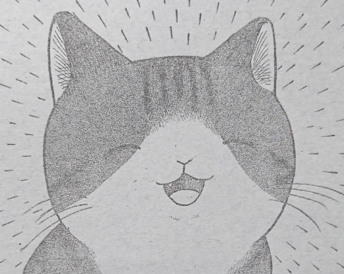 石田万さんの描く猫、ハ～～～チャメチャにかわいいんですよ。 https://t.co/5hnhWN4iQZ 