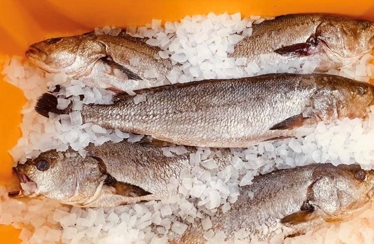Look at this stunning Aegean Stone Bass, along side some other fantastic fish, shellfish &amp; Poultry? Have a look at our specials below. Call us on 01484 548975 to discuss your Menu's
sailbrand.co.uk/fresh-specials/

#sailbrand #Foodie #cheflife #shellfish #stonebass #freshisbest
